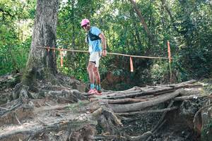 BIB: 
                            <button type="button" onclick="openModal(27745258)" class="btn btn-primary btn-sm float-right btn-popup" data-toggle="modal" data-target=".modal-high-quality">
                        <i class="fas fa-shopping-cart"></i> Add to Cart
                    </button>
                                            <button type="button" onclick="isThisMe(27745258, true)" class="btn btn-success btn-sm float-right btn-popup btn-isme hidden" data-toggle="tooltip" data-placement="bottom" title="นี่คือรูปของคุณใช่ไหม คลิกที่นี่เพื่อเอาเข้าอัลบั้ม">
                        <i class="fas fa-plus"></i> Add to album
                    </button>
                    <button type="button" onclick="isThisMe(27745258, false)" class="btn btn-warning btn-sm float-right btn-popup btn-isnotme hidden">
                        <i class="fas fa-ban"></i> Remove from album
                    </button>